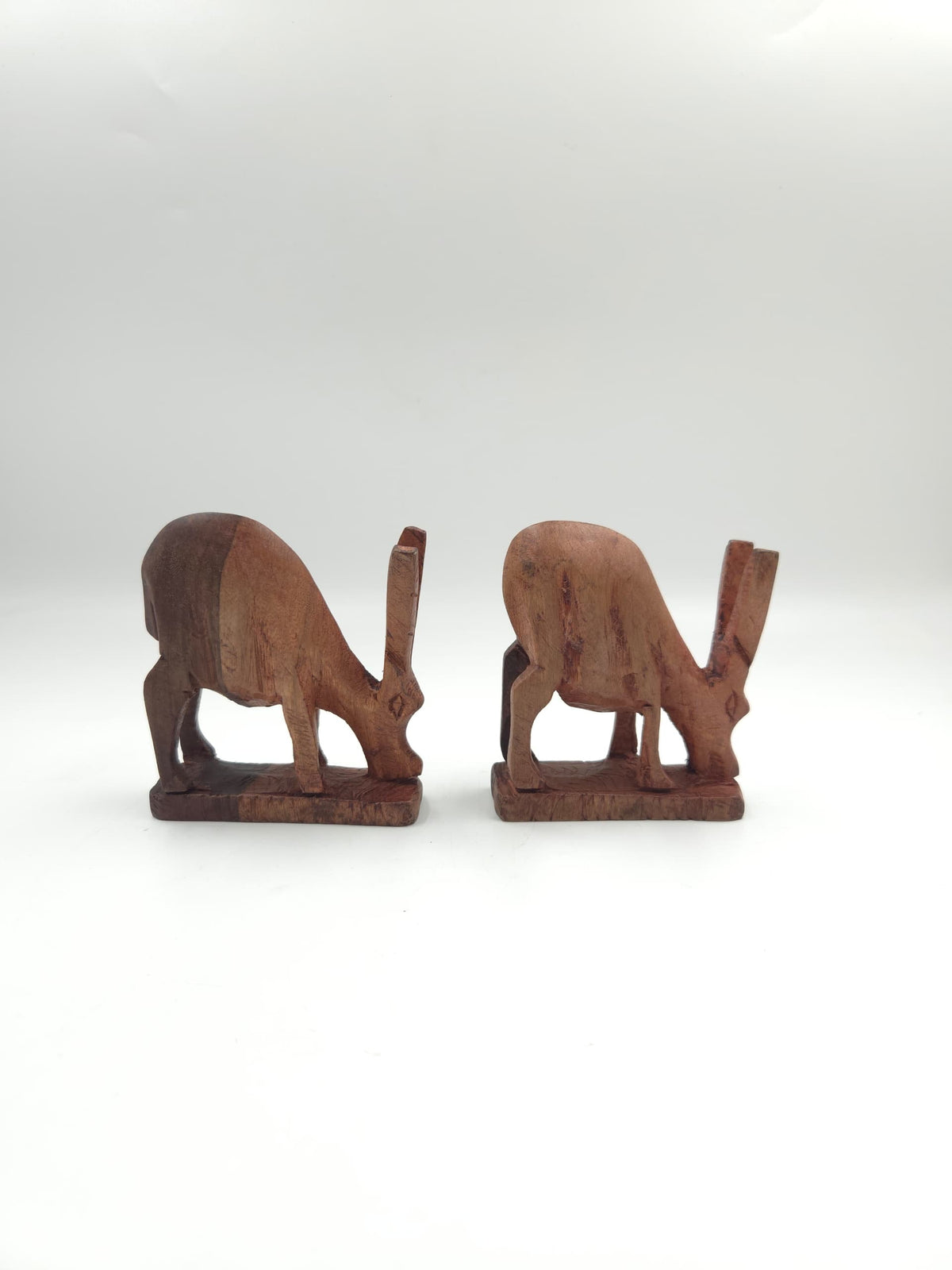 NGUVU – The Animal Collection