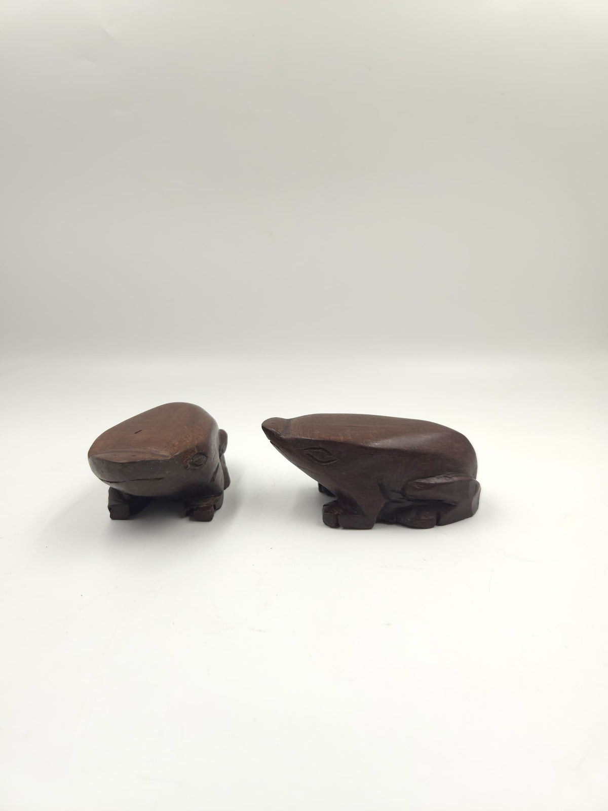 NGUVU – The Animal Collection