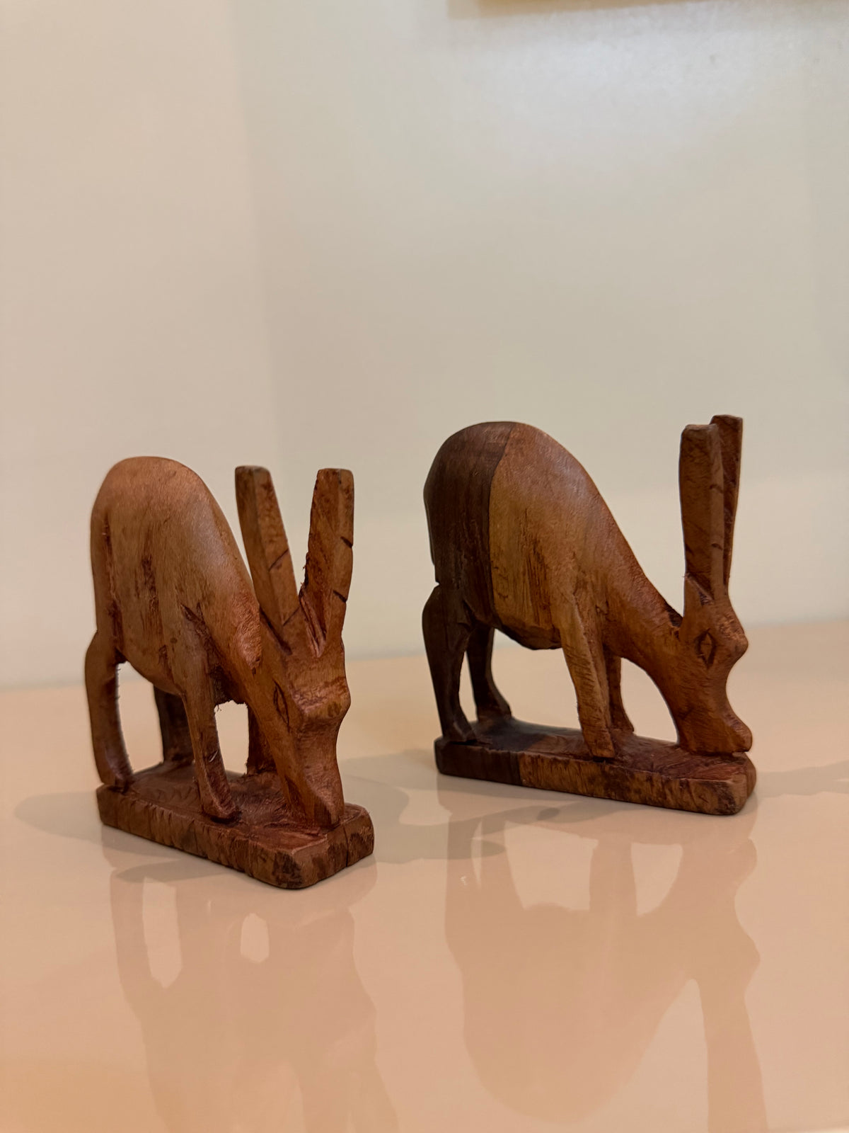 NGUVU – The Animal Collection